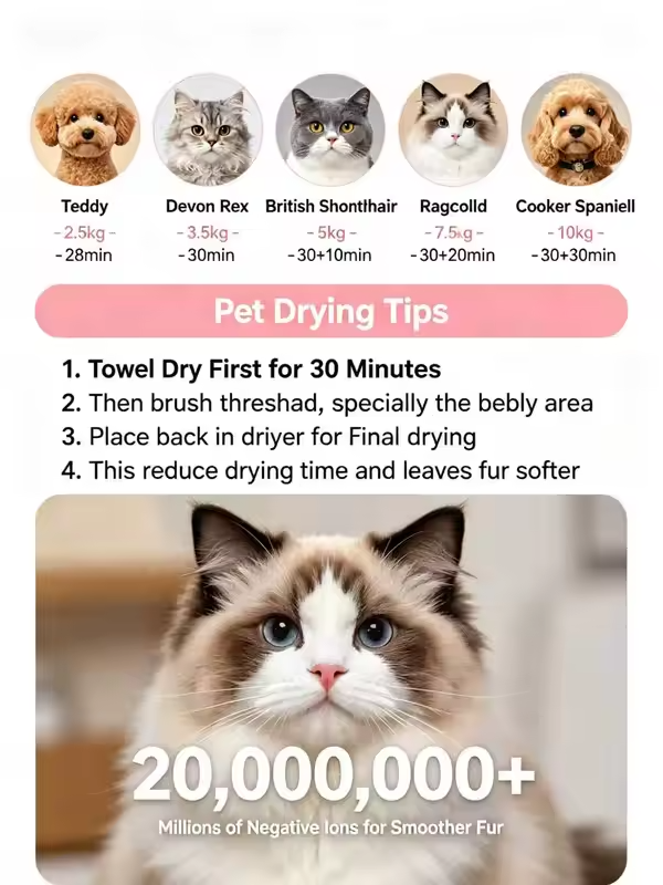 Pet Products Manufacturer 72L Space 3D Stereoscopic Wind 30 Min Fast Blow Dry Low Noise Automatic Grooming Cat Pet Drying Box