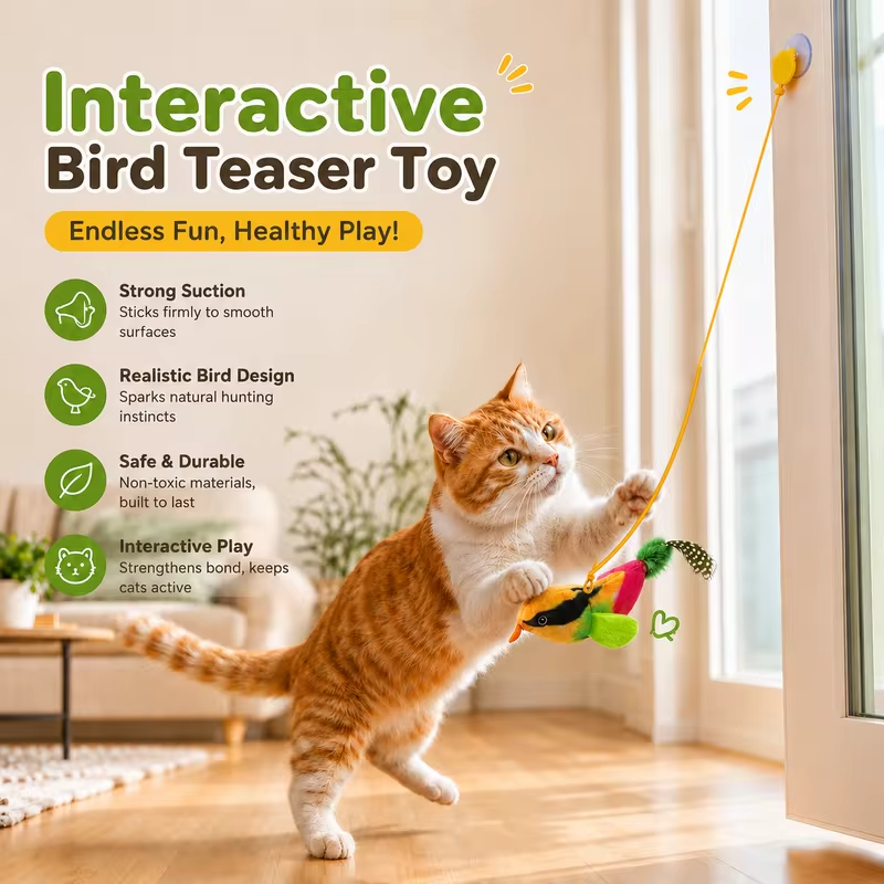Interactive Hanging Cat Toy Bird Teaser with Elastic Rope Sound Catnip Indoor Wall-Mounted Toy for Cats Kittens Chasing Play